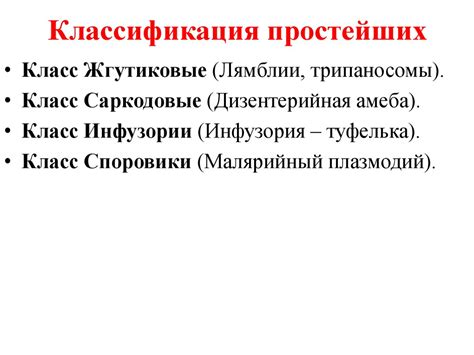 Тип простейшие. Одноклеточные организмы - online presentation