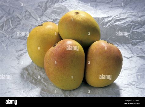 mango india asia stock photo alamy