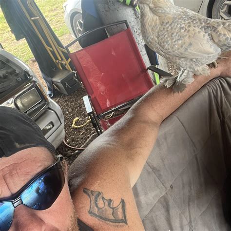 Local Crime News in Taylor County with SayCheese Mugshots: The Full Picture 11