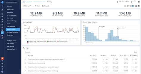 Monitoring Browser Memory Usage - Sematext Documentation
