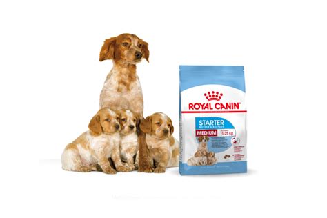 Royal Canin Medium Starter Mother & Babydog online kopen? → ...