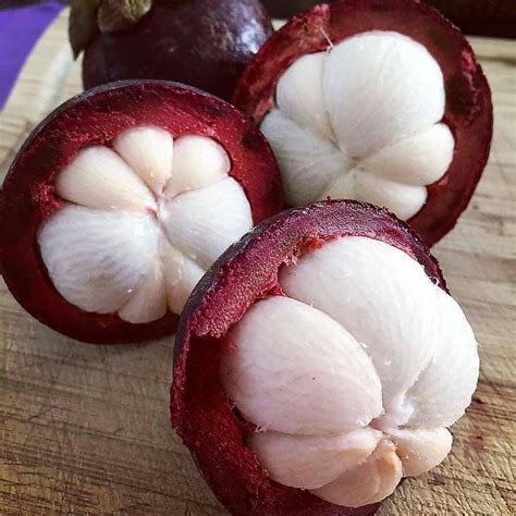 Jenis Jenis Buah Buahan - PairleyrilMccormick