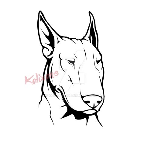 Bulterier by kolixone on DeviantArt