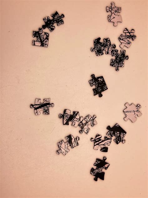 Puzzle/拼图玩具/puslespil/παζλ/ジグソーパズル/조각 맞추기 퍼즐/puslespill/па… | Flickr