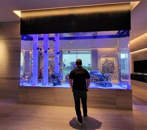Custom aquarium – Artofit
