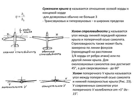 Крыло. Его назначение - презентация онлайн