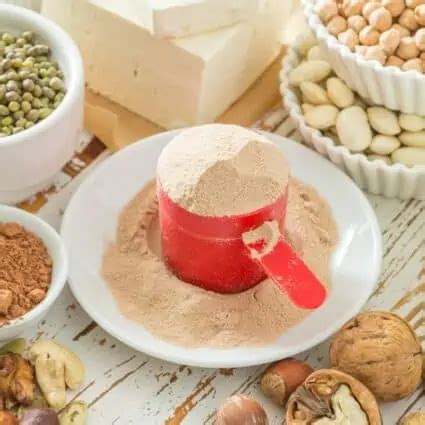 20 Best Vegan Protein Powder Brands Worth Trying | World of Vegan