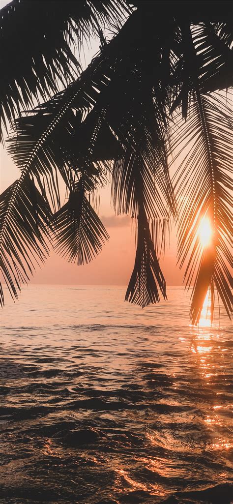 beach sunset iphone wallpaper