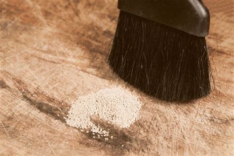 What To Do if You Find Termite Droppings? | BeatPests