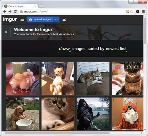imgur images  bulk  imgur downloader ghacks tech news
