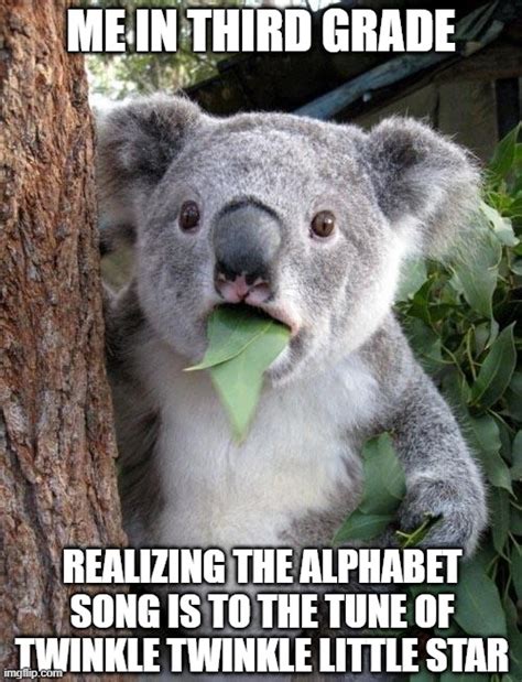 Suprised Koala - Imgflip