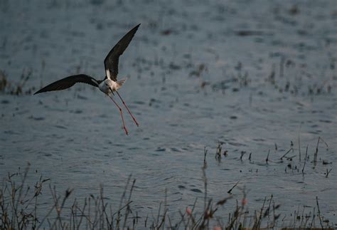 Instagram Feet Photos Photos, Download The BEST Free Instagram Feet