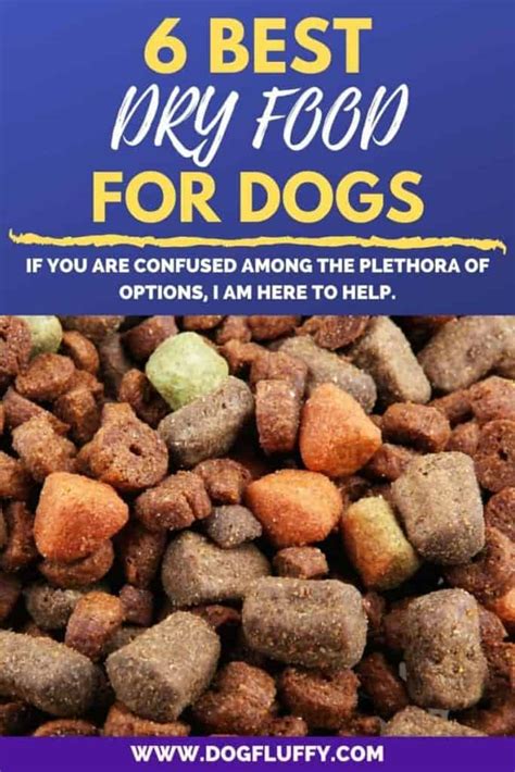 6 Best Dry Food For Dogs 2024 - Dog Fluffy