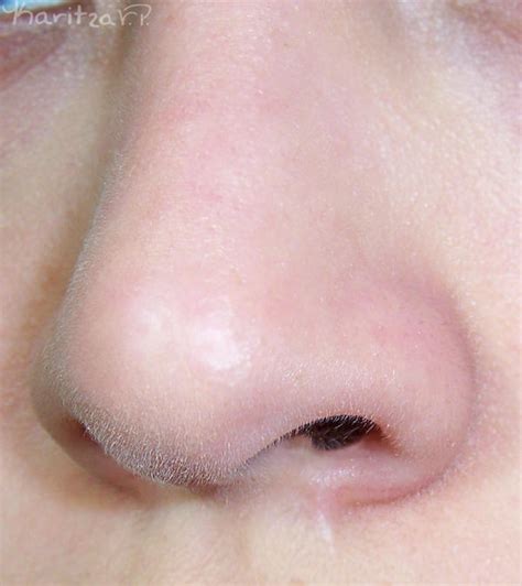 nose ii  kw stock  deviantart