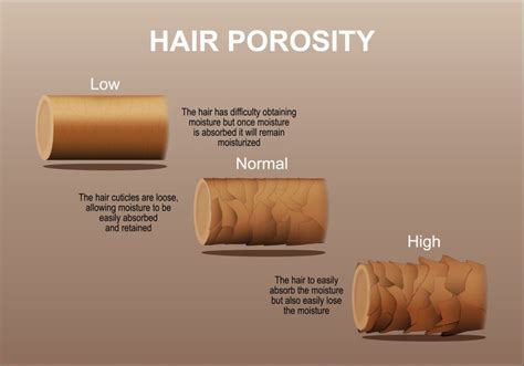 hair porosity test  care tips    type