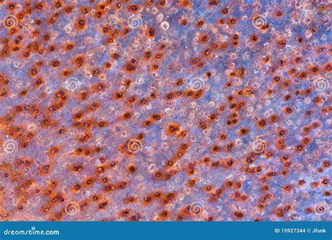 Rust Spots stock photo. Image of rust, rusted, spots - 15927344