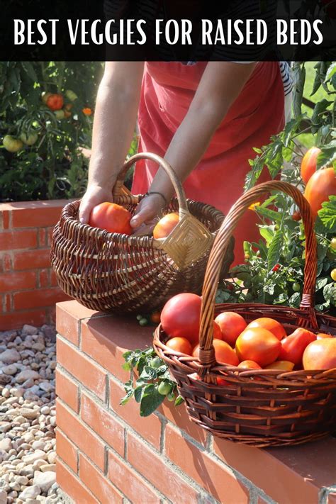 10 Best Vegetables To Grow In Raised Garden Beds • Simple At Home