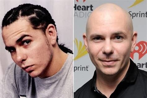pitbull rapper  hair pitbull  pitbull  worldwide hair