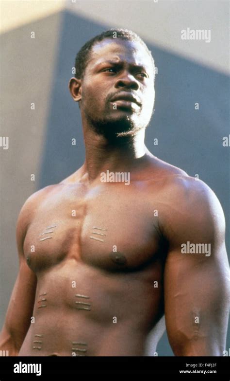 Djimon Hounsou Amistad