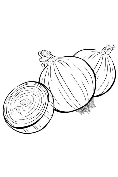 Fructe Si Legume De Desenat