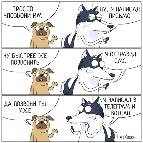 Пин от пользователя Martin на доске Хаски 2 | Смешные хаски, Смешные ...