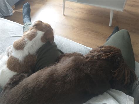 I'm hungry but can't get up : r/pics