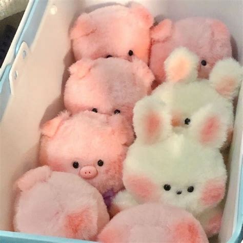 Pin by 𝓙𝓸𝓻𝓭𝓲 on pink. | Cute stuffed animals, Cute toys, Cute squishies