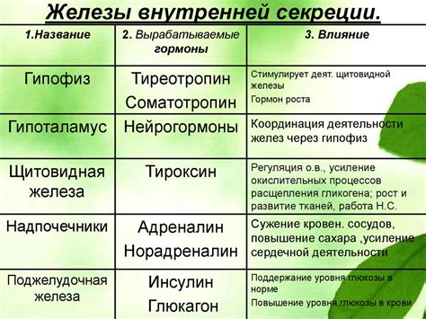 Эндокринная система. Железы внутренней секреции - презентация онлайн