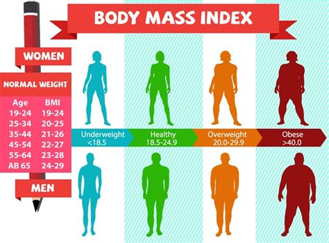 Body Mass Index Calculator - Calculatorall.com