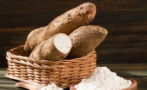 ¿Qué es la tapioca? Conoce sus propiedades y beneficios | El Diario Vasco