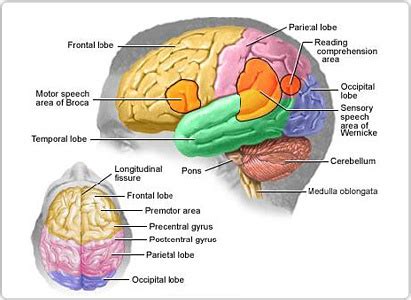 Brain Cancer Symptoms | Modern Cancer Hospital Guangzhou, China