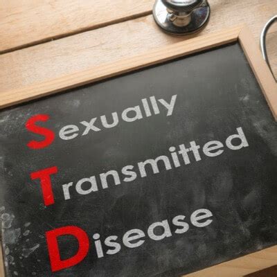 std facts  kids facts   parents teachers  students