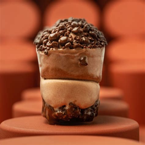 dessert glace artisanal au chocolat