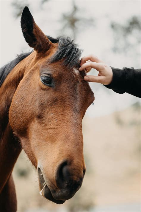 Oiled+Up+Spider+Gwen+Baddie Photos, Download The BEST Free Oiled+Up