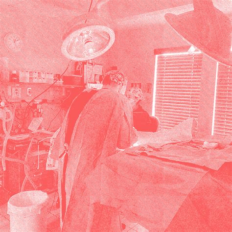 babcock hills animal hospital 5