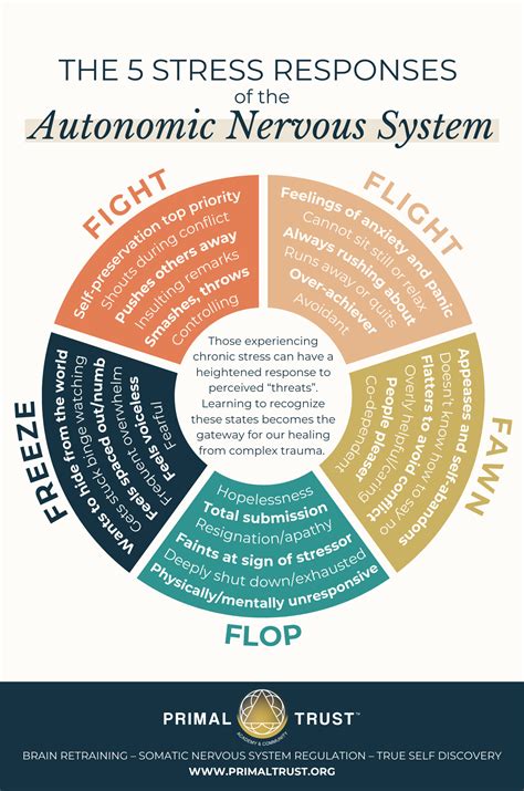 How To Rewire Your Brain After Trauma | Primal Trust