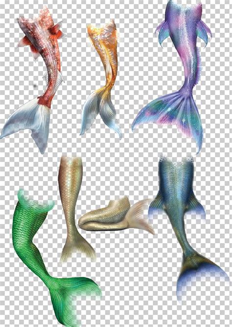 Mermaid Tail Drawing PNG, Clipart, Animals, Cartoon, Cartoon Mermaid ...