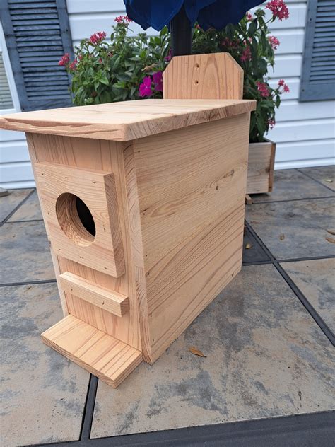 squirrel house 5
