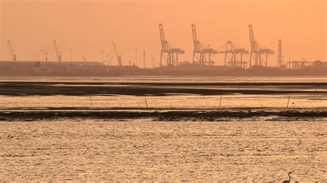 dumas surat dumas  sightseeing nativeplanet