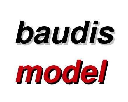 Baudismodel | Ceska Ves
