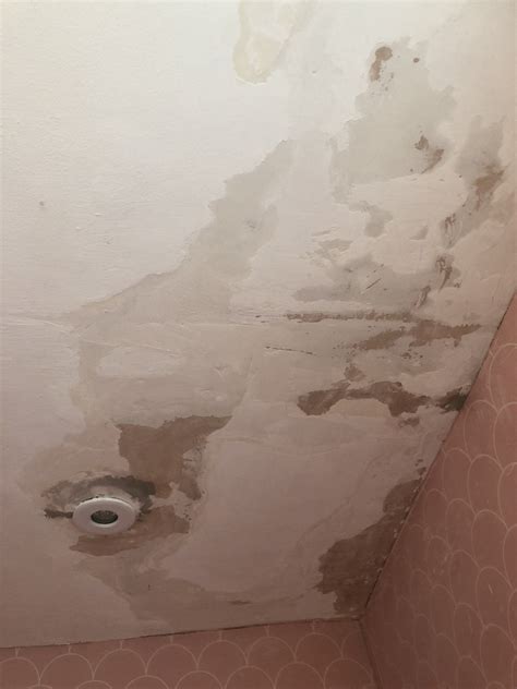 Why Is My Ceiling Paint Peeling ~ Wallpaper Wiggins