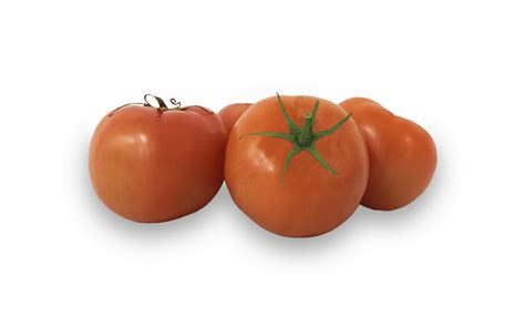 Our Products – Marengo Foods