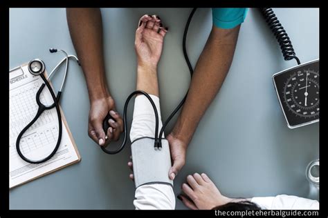 A Lifetime of Health: How Different Aspects of Life Affect Our ...