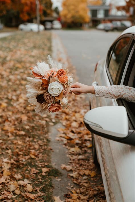 Wild Lens Photography - You don't need to be a botanist to appreciate