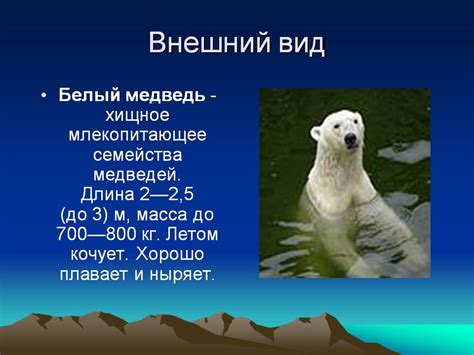 Белые медведи - Презентации по биологии