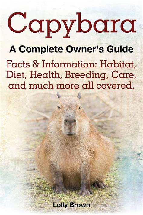 Capybara eBook by Lolly Brown - EPUB | Rakuten Kobo United States