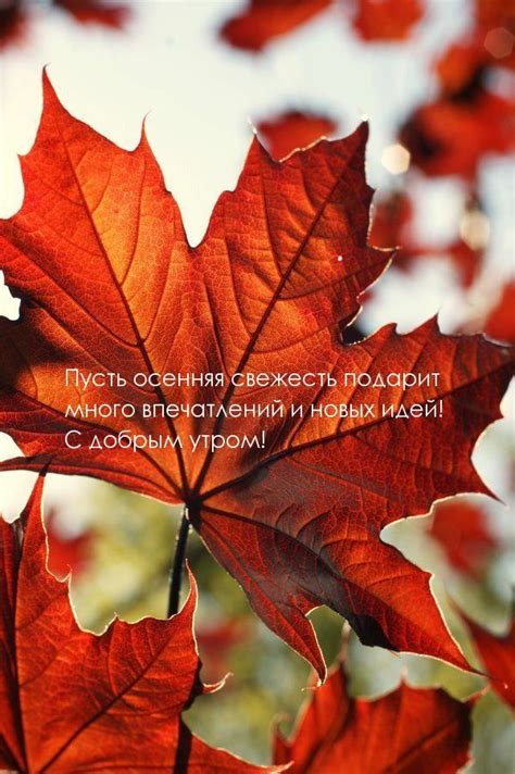 Пусть осенняя свежесть подарит много впечатлений и новых идей ...