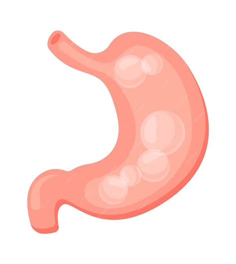 Premium Vector | Stomach bloating flat icon Human digestive system