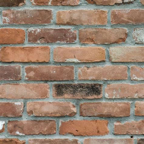 Envisioning more affordable housing in… | The Housing Collective