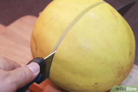 simple melon starter  steps  pictures